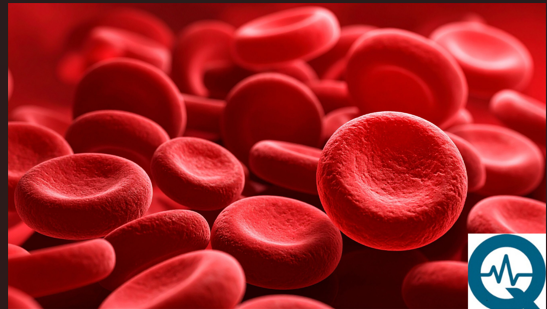 Hematological Disorders